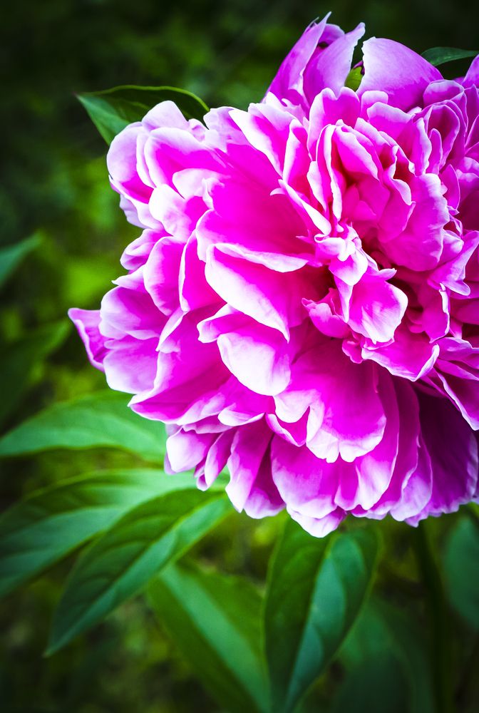 Фотография автора Каргин Валерий