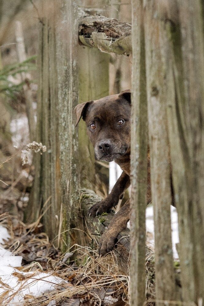 Photograph by Марина Суздаль