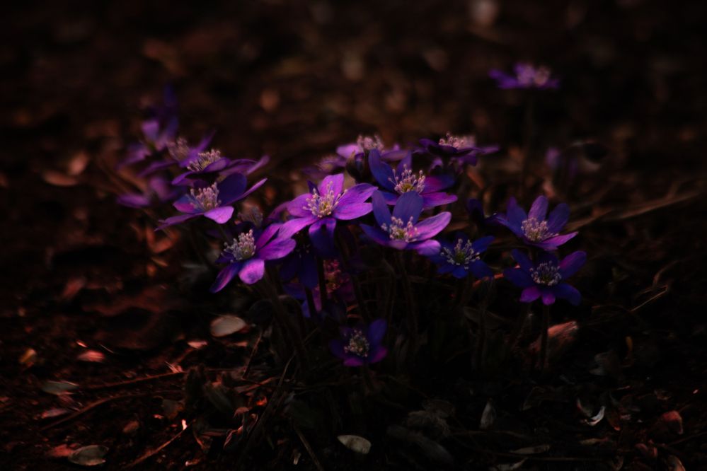 Photograph by Алексей Егоров