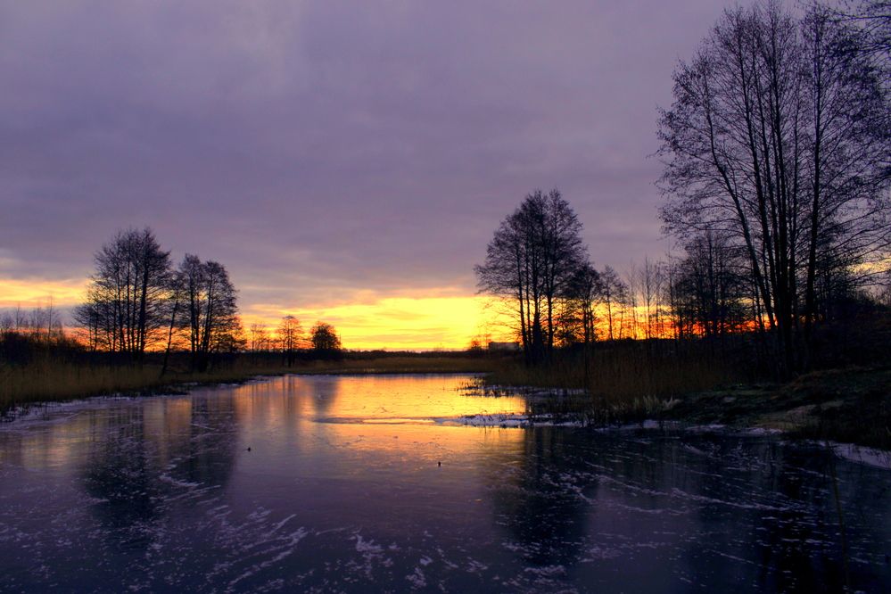 Photograph by 