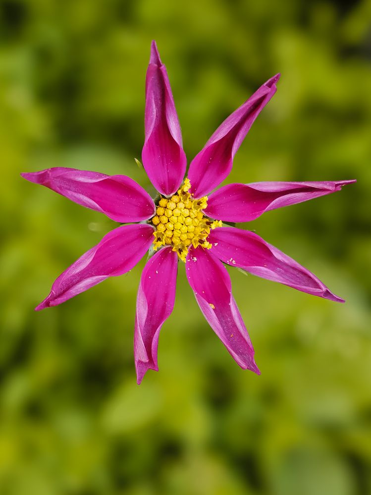 Photograph by Ксения Мельникова