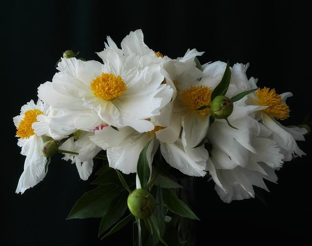 Фотография автора Рамзия Хисамутдинова