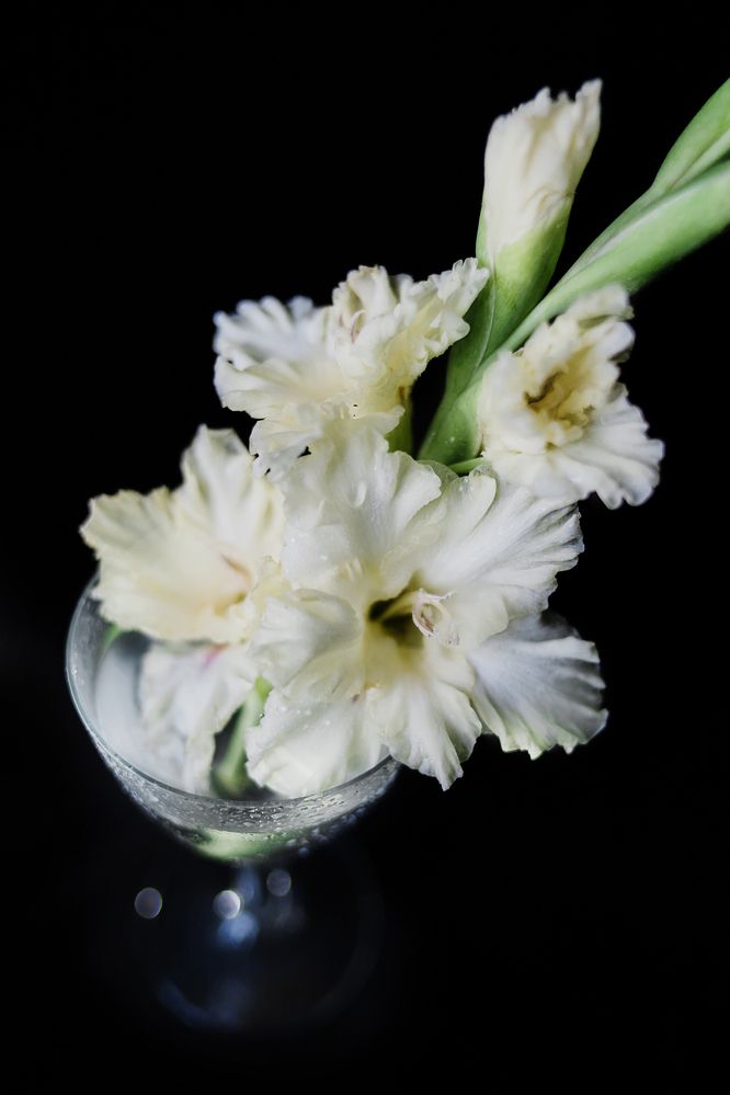 Photograph by Наталия Курнева