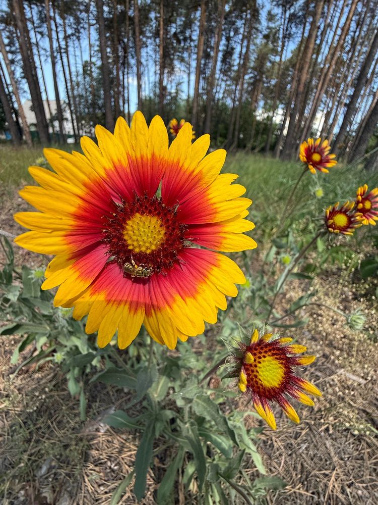 Фотография автора Иван Безрядин