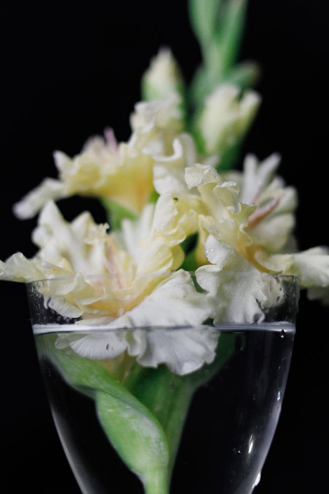 Photograph by Наталия Курнева