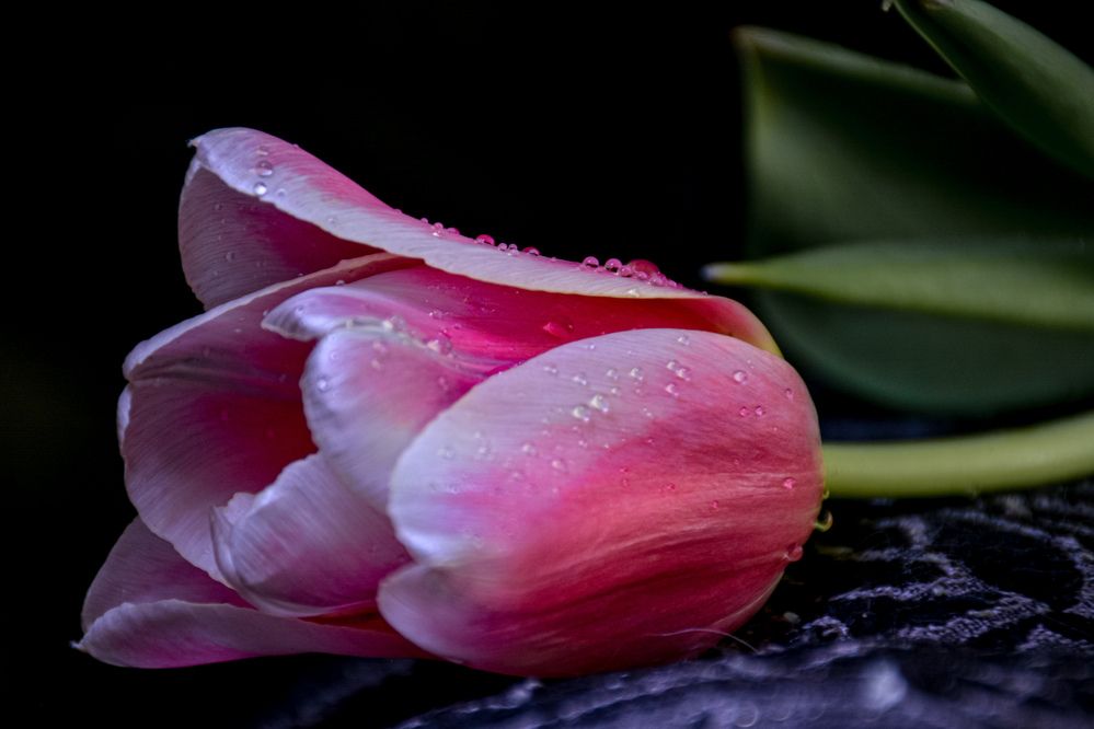 Photograph by Людмила Баймухаметова