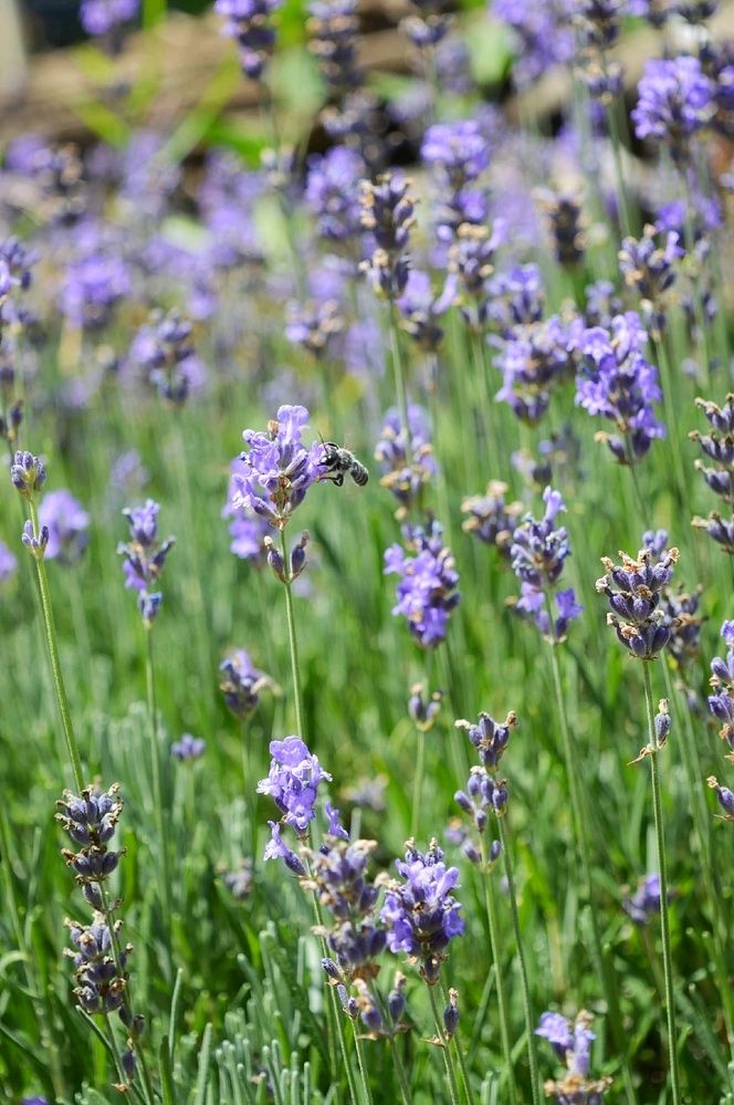 Photograph by Марина Манацкова