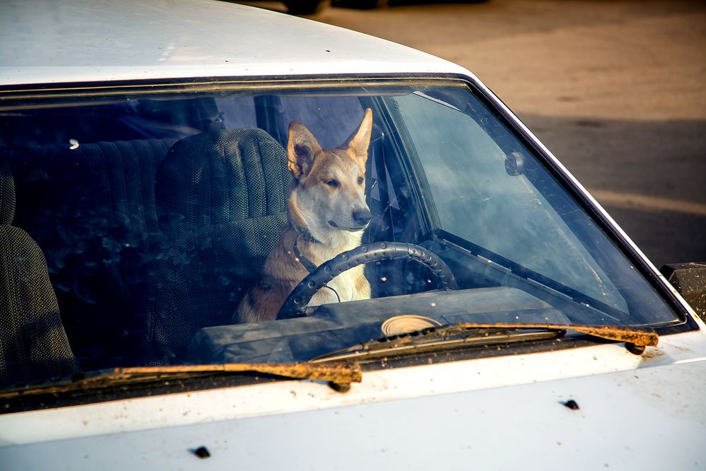 Photograph by Алексей Трифонов