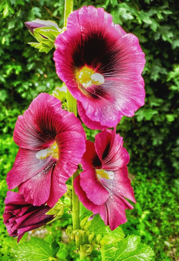 Photograph by Денис Умеренков