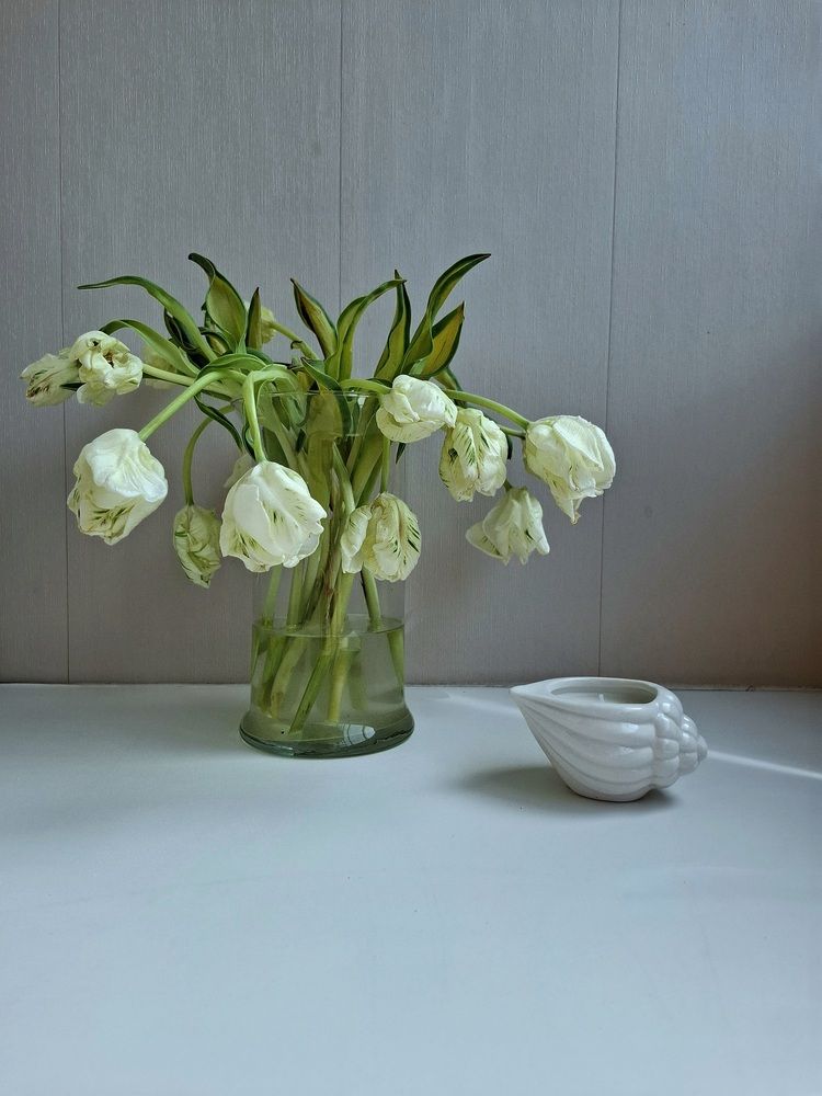 Фотография автора Asya