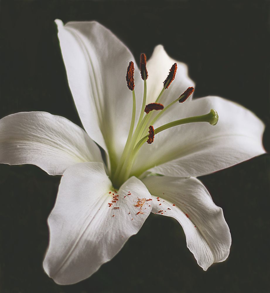 Photograph by Забудская Наталья