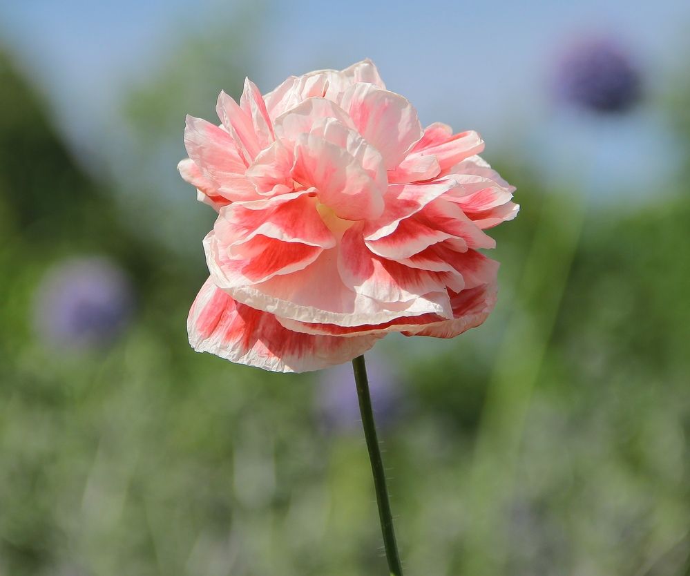 Photograph by Светлана Булыгина