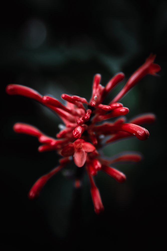 Photograph by Rodrigo Silveira