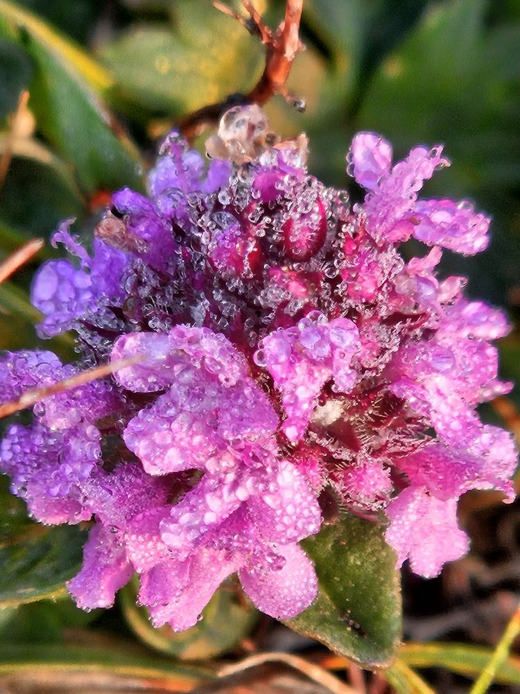 Photograph by Светлана Широкова