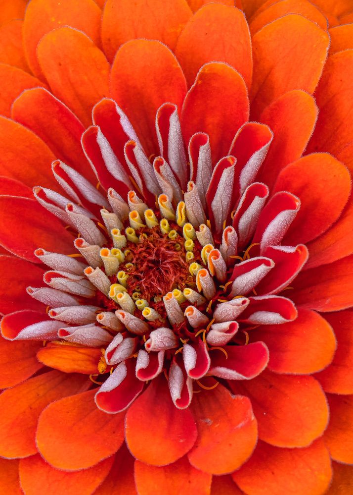 Photograph by Konstantin Martynov