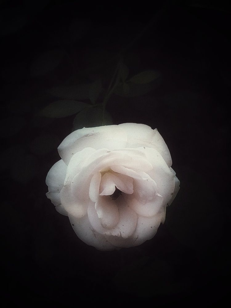 Photograph by Дарья Макаревич