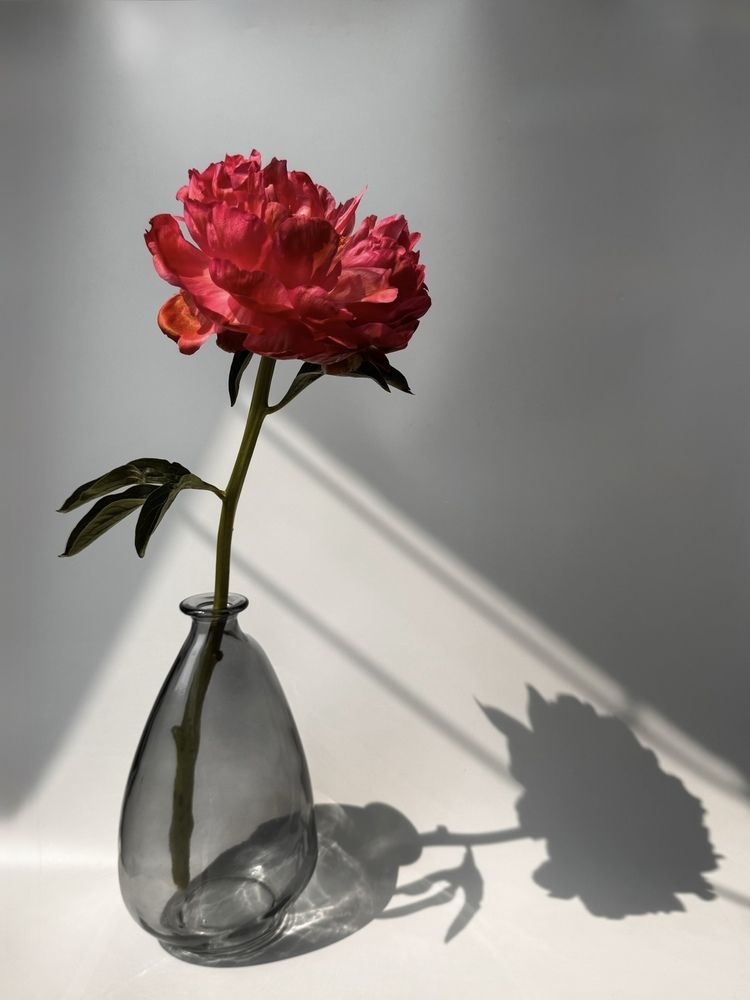 Photograph by Жанна Колесникова