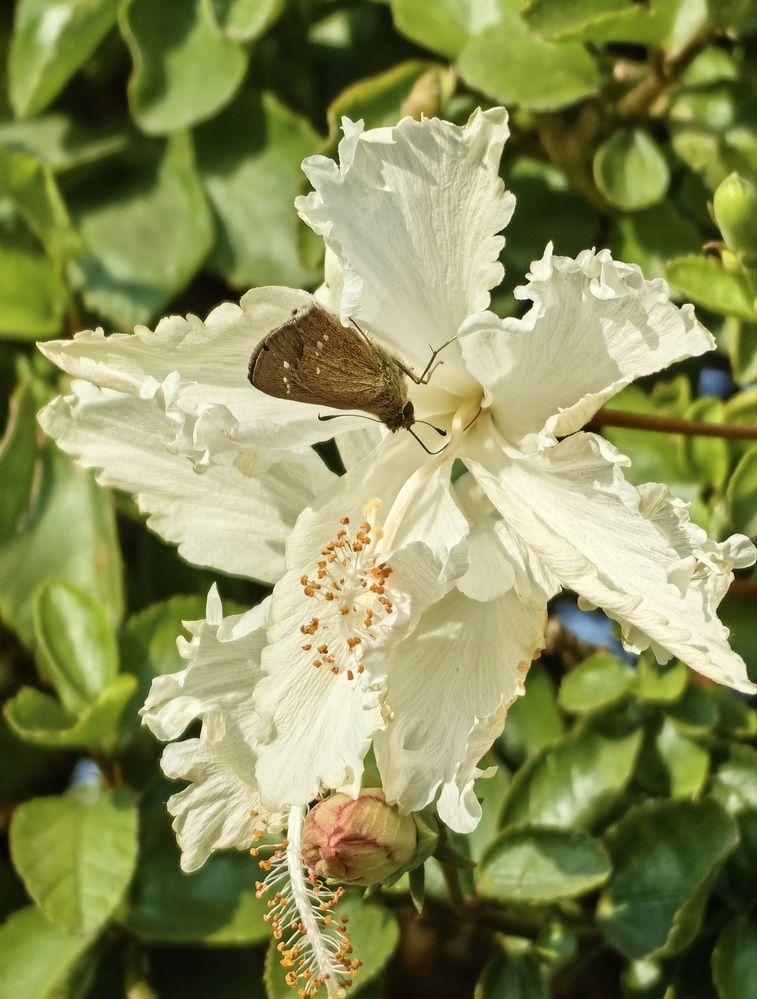 Photograph by Кристина Феминова