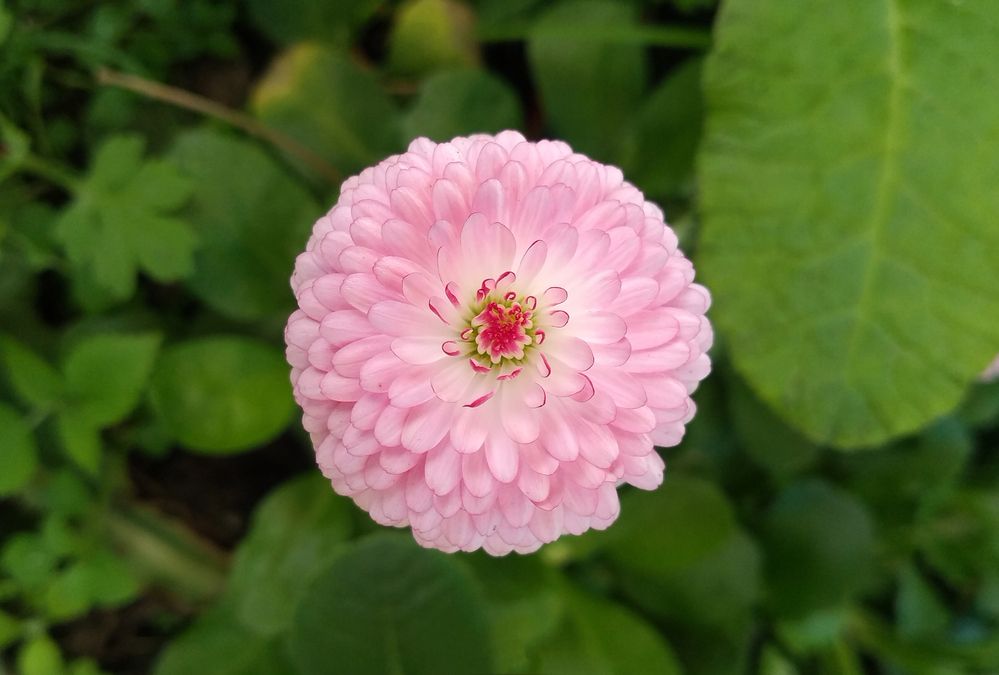 Photograph by Subhomoy Ghosh