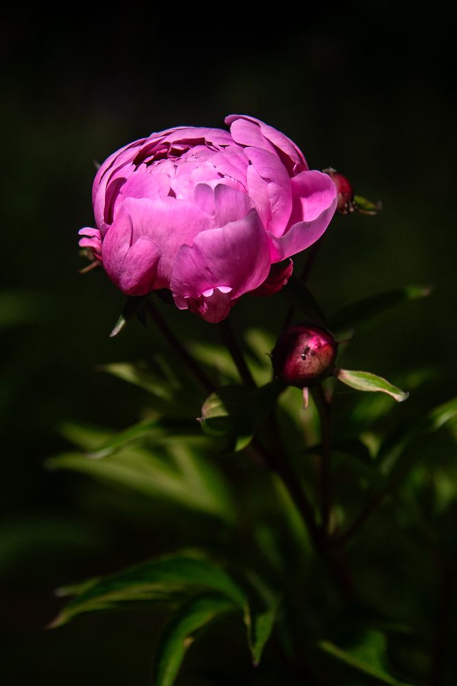 Photograph by Вячеслав Пугачёв