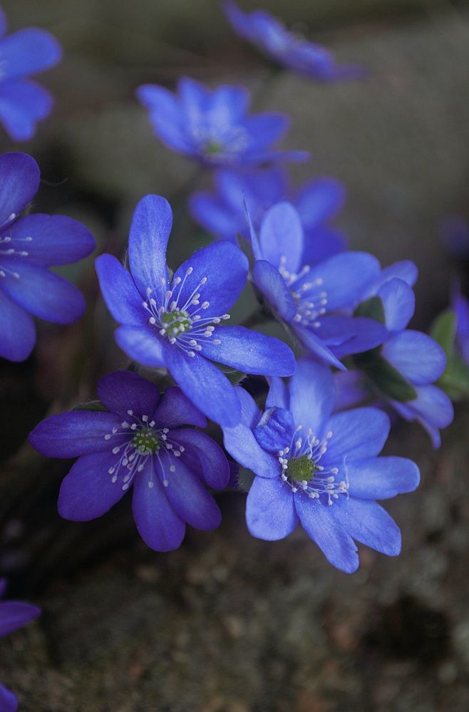 Photograph by Екатерина