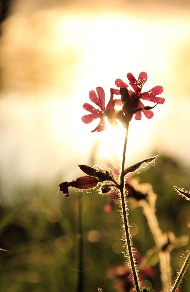 Photograph by Екатерина