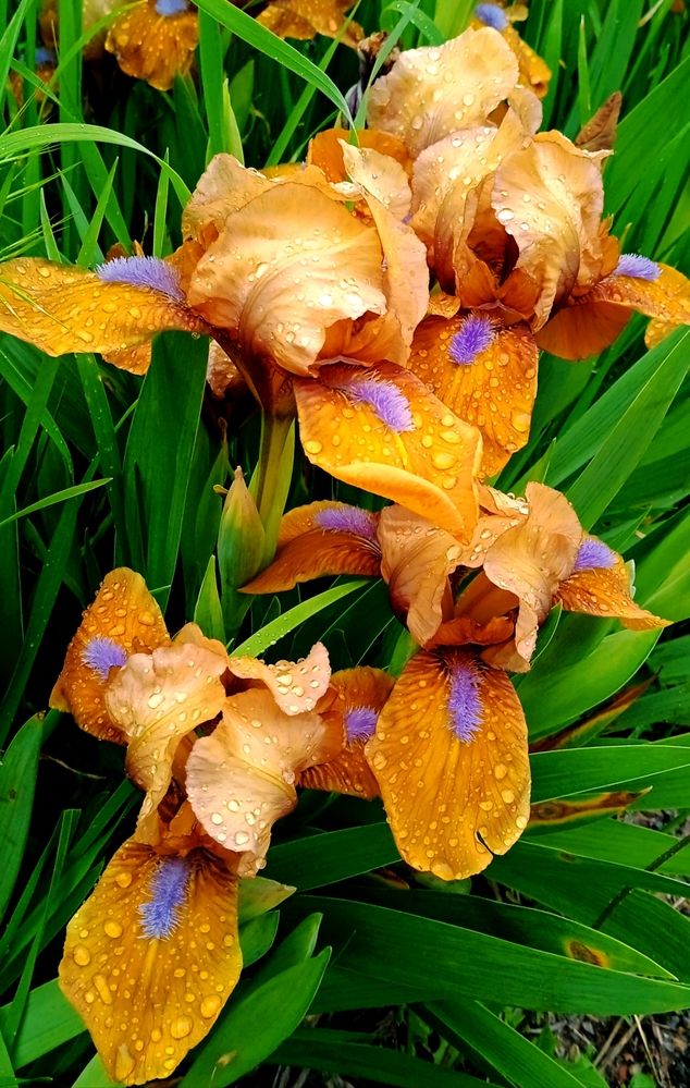 Photograph by Наталья Назаренко