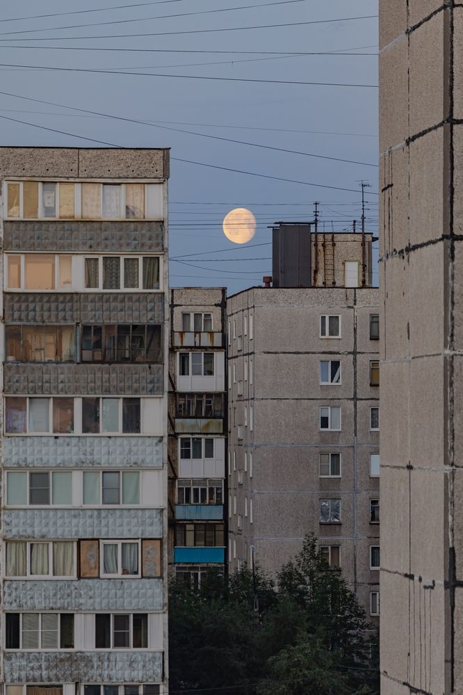 Photograph by Ирина Левакова