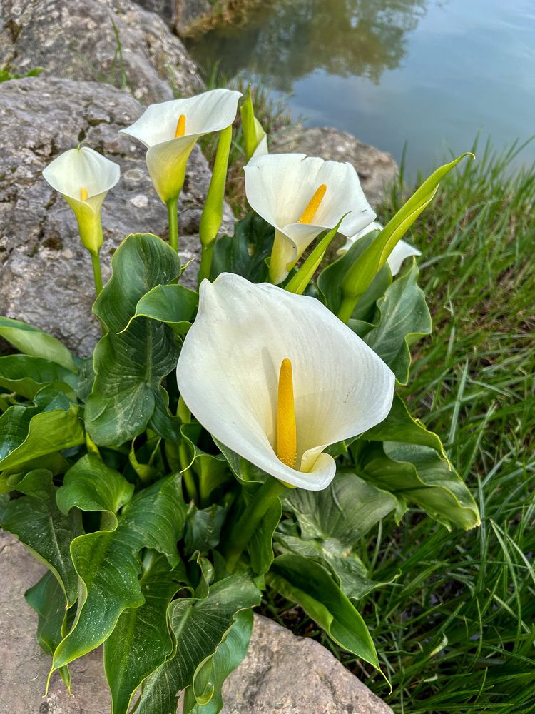 Photograph by Olga Smirnova