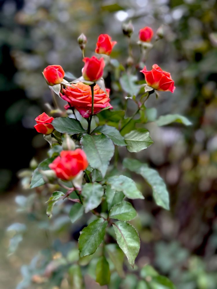 Photograph by Olga Smirnova