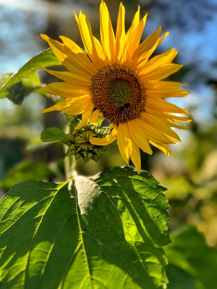 Photograph by Olga Smirnova