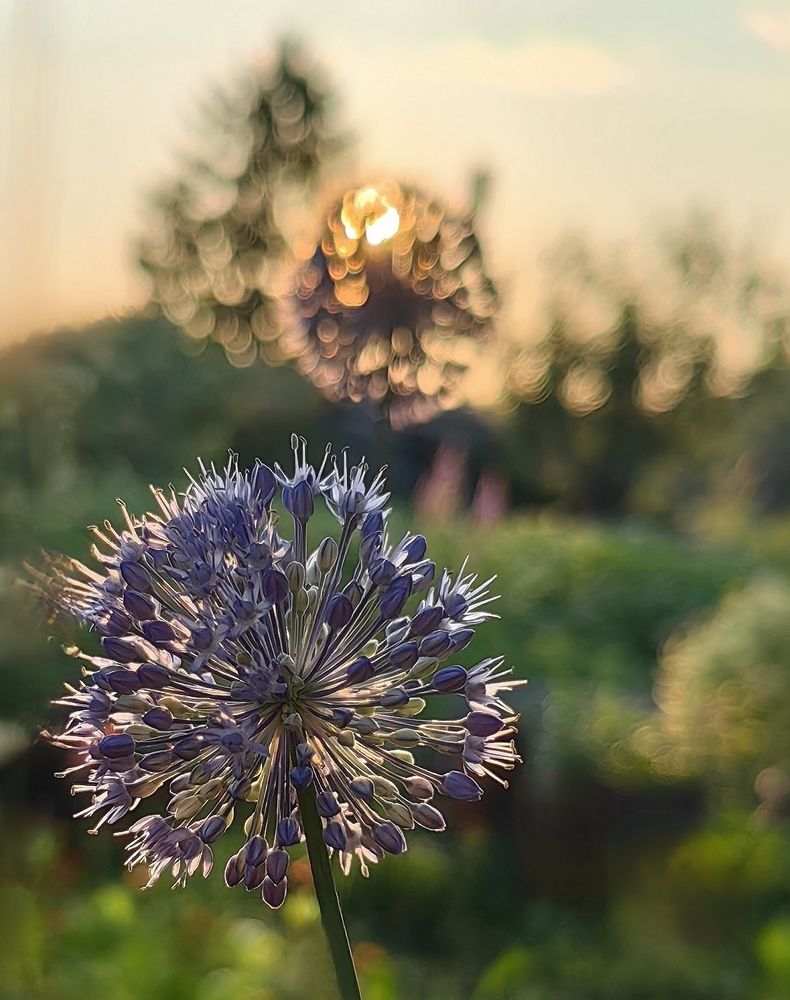 Photograph by Светлана Булыгина