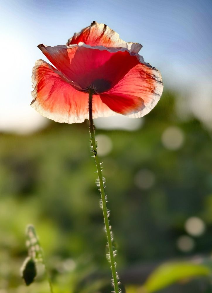 Photograph by Светлана Булыгина