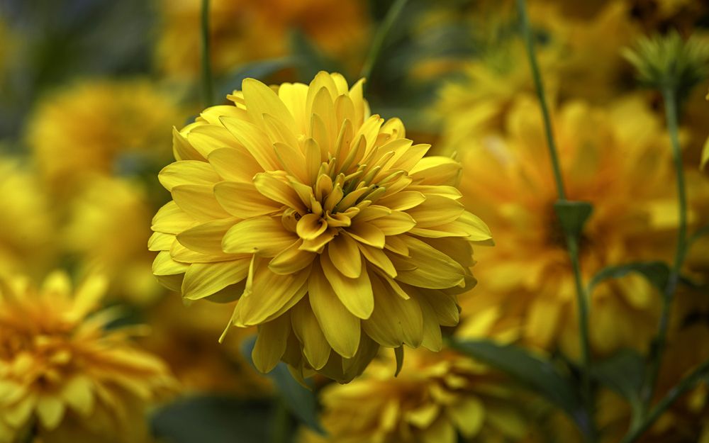 Photograph by Сергей Басов