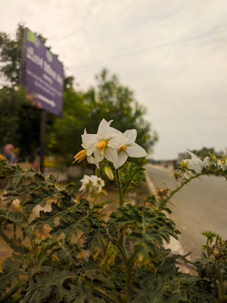 Photograph by Navya Modi