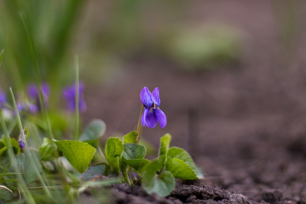 Photograph by Вика Коршунова