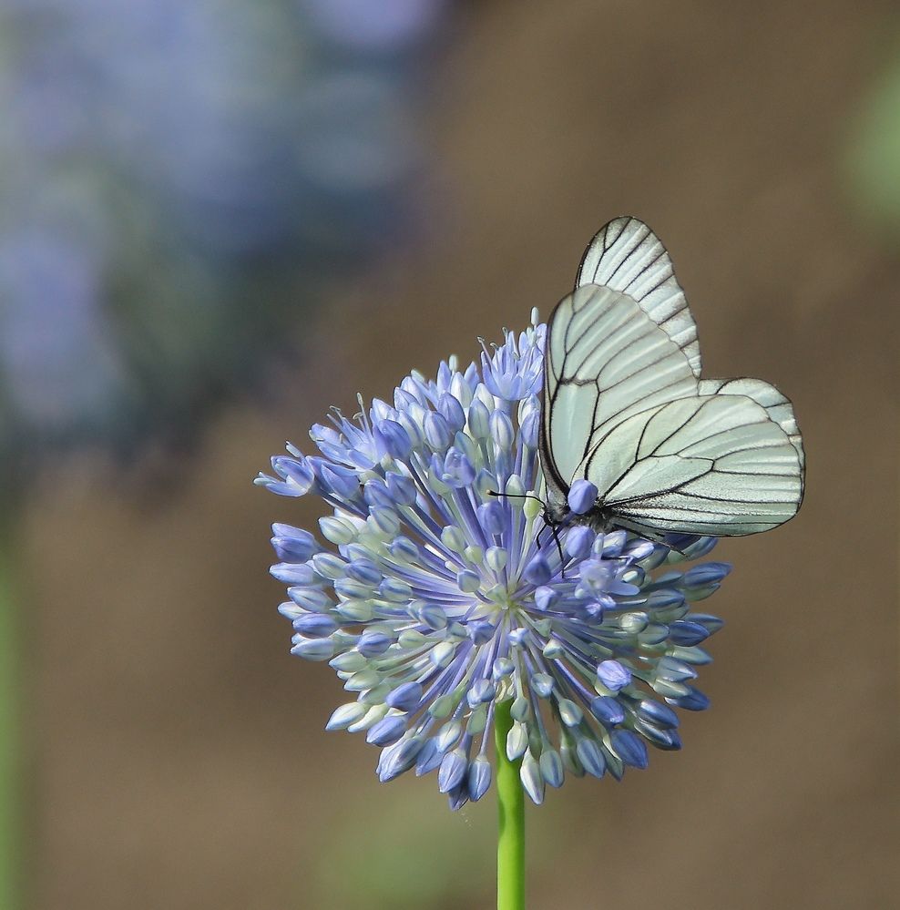 Photograph by Светлана Булыгина