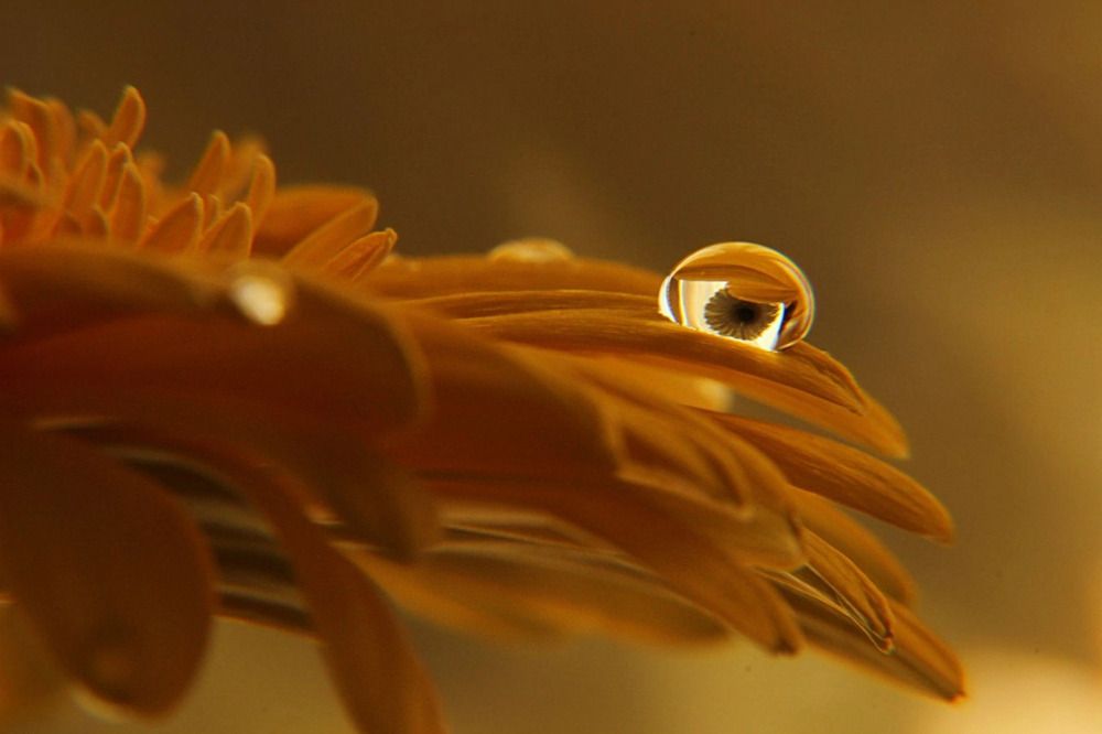 Photograph by Галина Чернякова