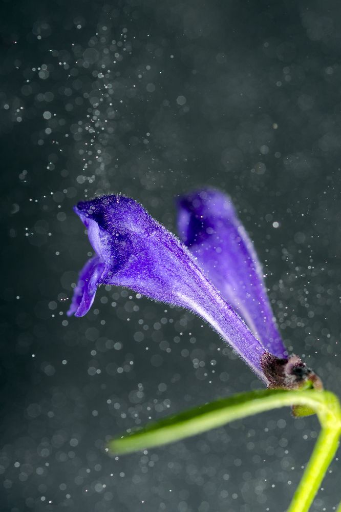 В глубине морской