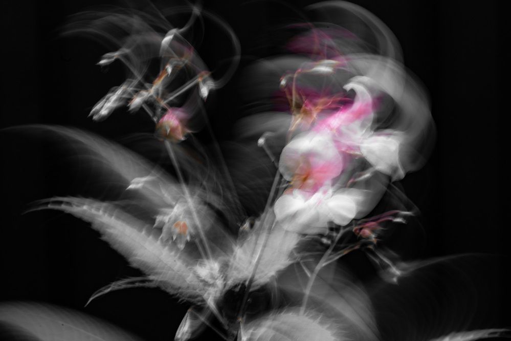 Photograph by Людмила Аксенова