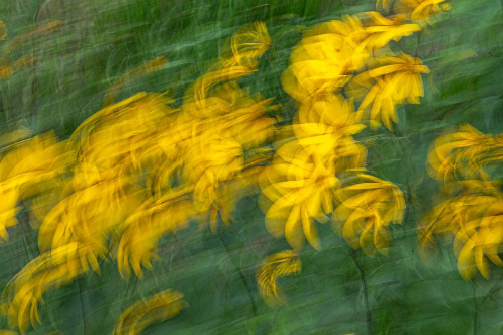 Photograph by Людмила Аксенова