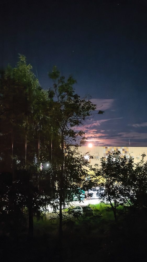 Фотография автора Наталья Шендяпина