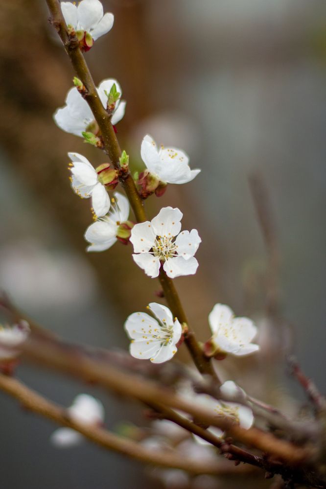Photograph by Вика Коршунова