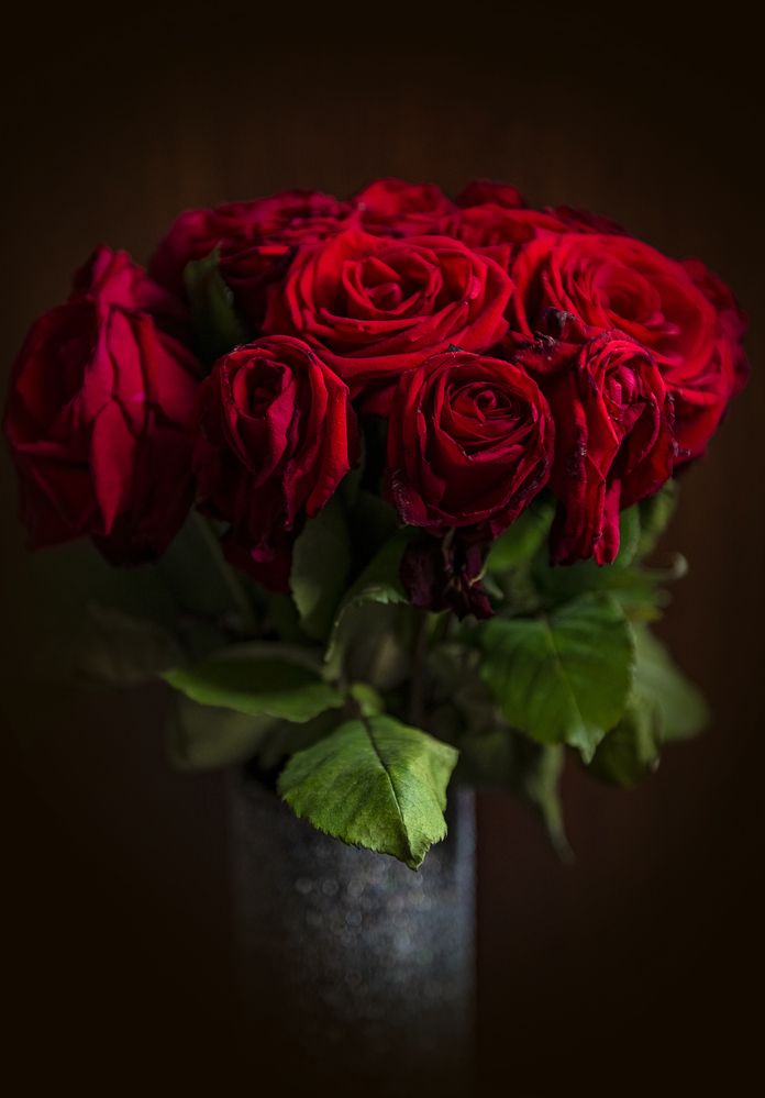 Photograph by Aлена Канхар