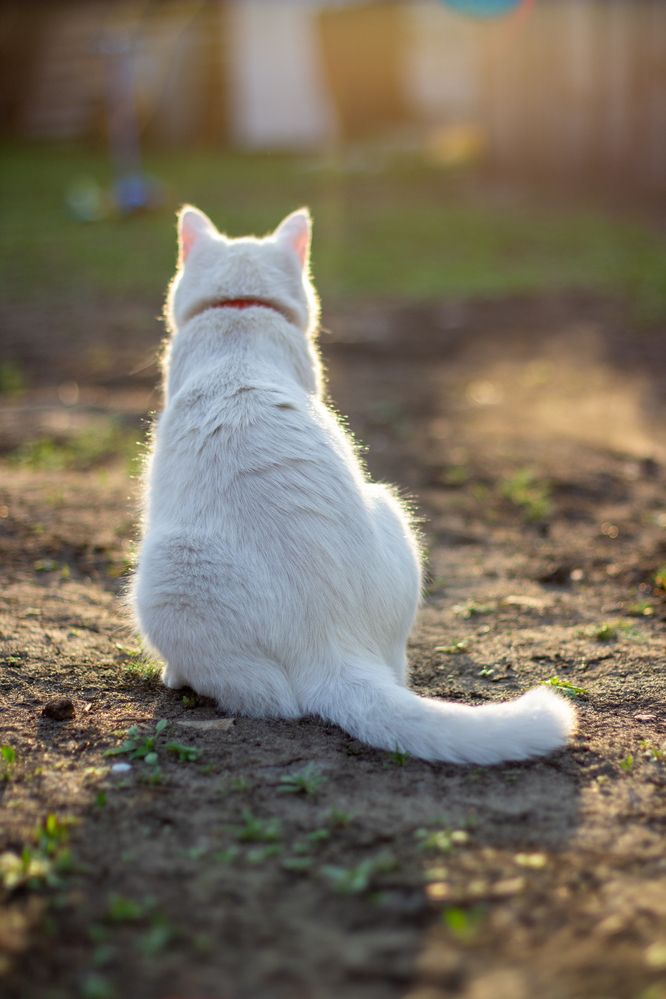 Photograph by Вика Коршунова