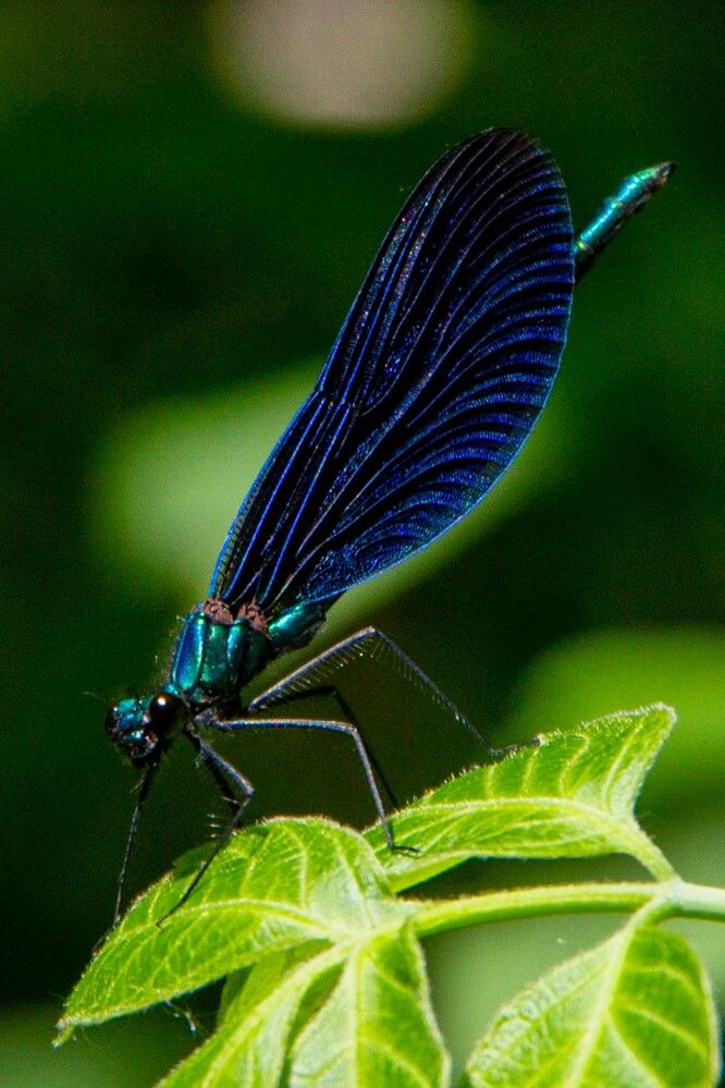 Photograph by Вика Коршунова