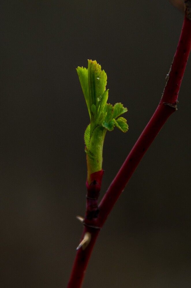 Photograph by Вика Коршунова