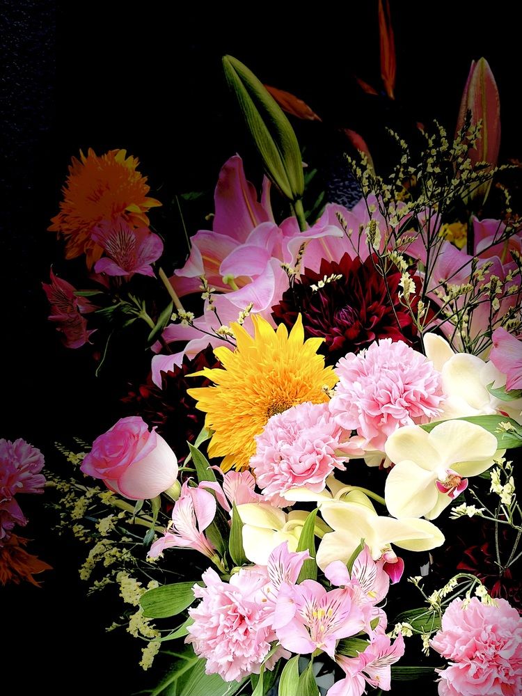 Vivid Floral Symphony