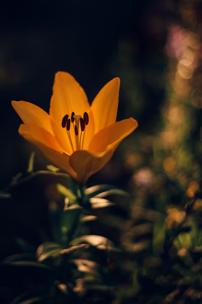 Photograph by Вика Фолина