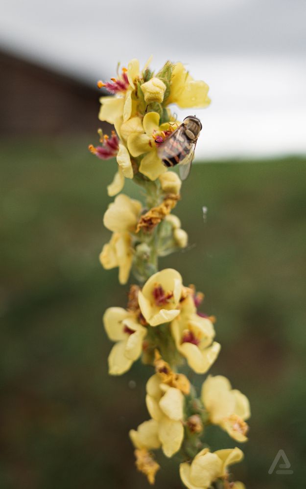 Photograph by Aleksandra Alekseeva